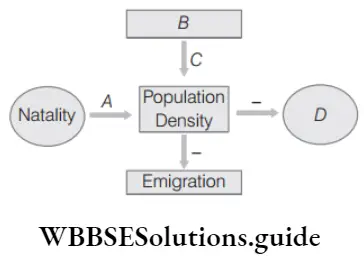 NEET Biology Population Attributes MCQs Population density