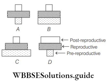 NEET Biology Population Attributes MCQs Post reproductive