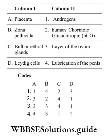 NEET Biology Pregnancy and Embryonic Development Question 101 Match The Column
