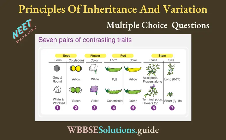 NEET Biology Principles Of Inheritance And Variation Miscellaneous Multiple Choice Question And Answers