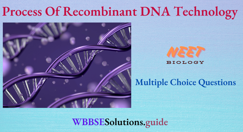 NEET Biology Process Of Recombinant DNA Technology Multiple Choice Question And Answers