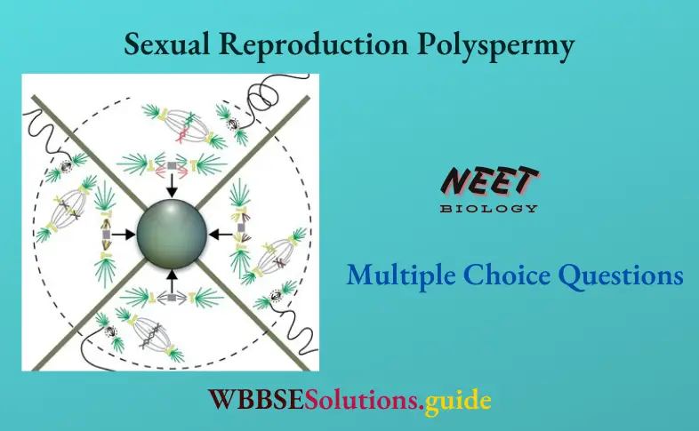 NEET Biology Sexual Reproduction Polyspermy Multiple Choice Question And Answers
