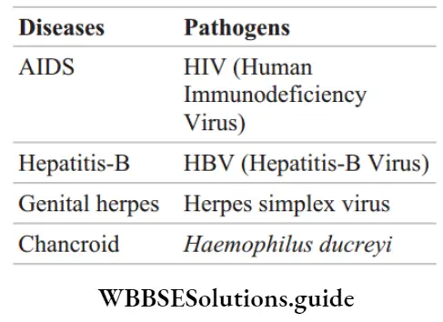 NEET Biology Sexually Transmitted Infections Viral STDs