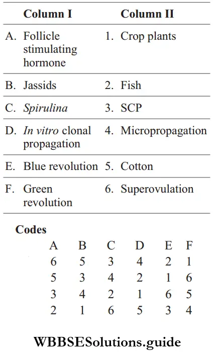 NEET Biology Strategies For Enhancement In Food Production Miscellaneous Question 18 Match The Column