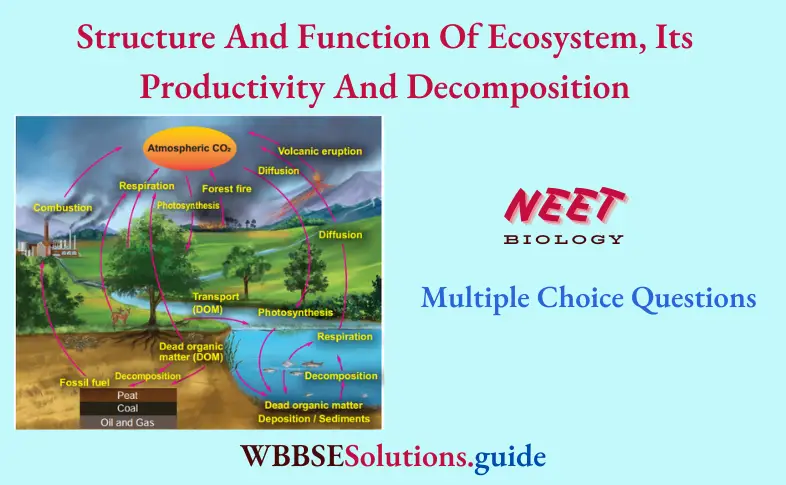 NEET Biology Structure And Function Of Ecosystem, Its Productivity And Decomposition Multiple Choice Question And Answers