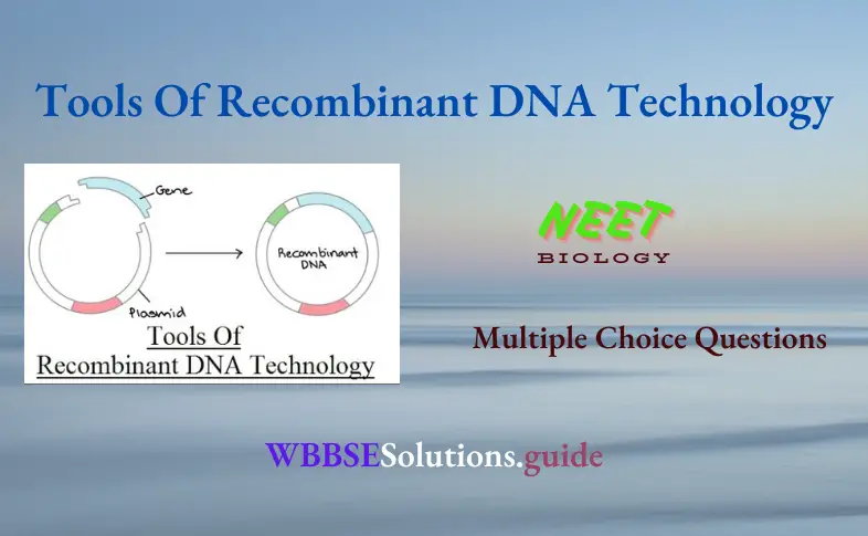 NEET Biology Tools Of Recombinant DNA Technology Multiple Choice Question And Answers