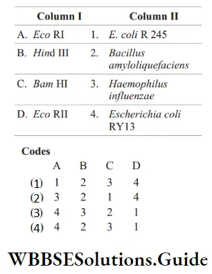 NEET Biology Tools of Recombinant DNA Technology MCQs Question 32 Match the following columns.