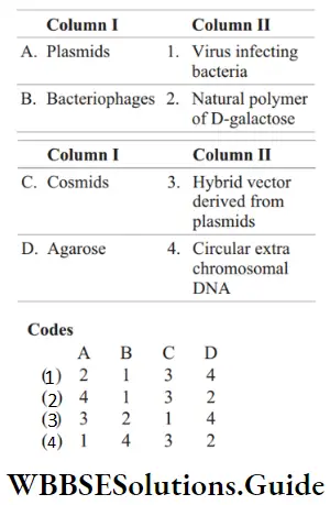 NEET Biology Tools of Recombinant DNA Technology MCQs Question 81 Match the following columns.