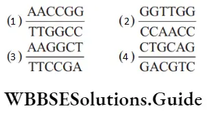 NEET Biology Tools of Recombinant DNA Technology MCQs the DNA sequences