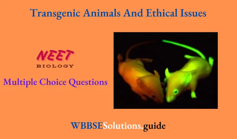 NEET Biology Transgenic Animals And Ethical Issues Multiple Choice Question And Answers