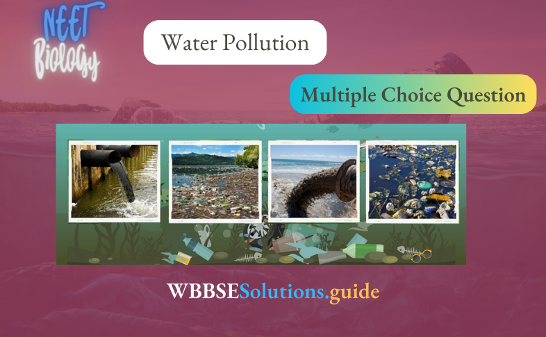 NEET Biology Water Pollution Multiple Choice Question And Answers
