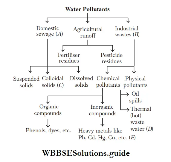 NEET Biology Water Pollution Water Pollutants.