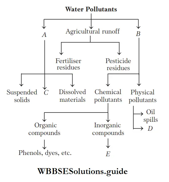 NEET Biology Water Pollution Water Pollutants