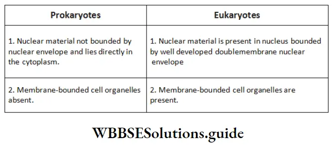 NEET Biology class 9 The Fundamental Units Of life Porkaryotes and Eukaryotes