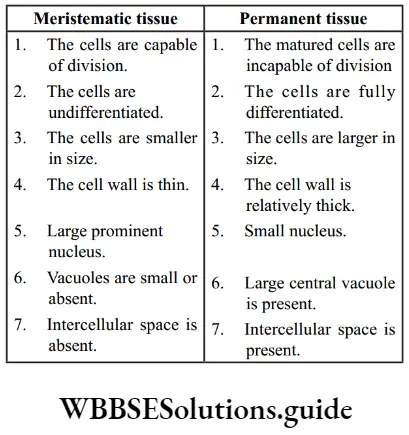 NEET Biology class 9 Tissues Differences between meristematic and permanent tissue