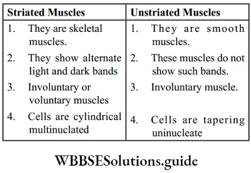 NEET Biology class 9 Tissues Striated Muscles Unstriated Muscles