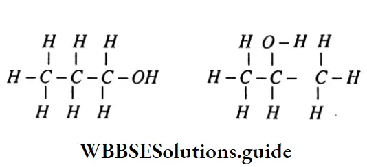 WBBSE Madhyamika Model Question Paper 2023 Physical Science And Environment Set 3 Position Of Isomer