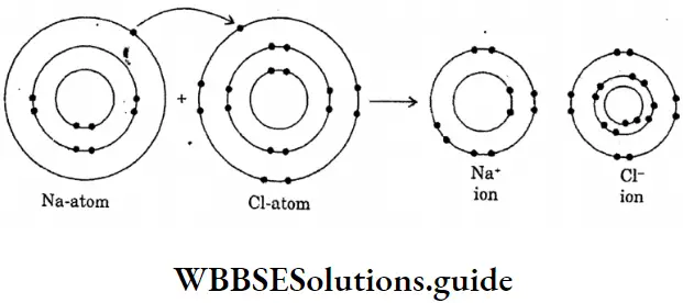 WBBSE Solutions For Class 10 Physical Science And Environment Chapter 8 Physical And Chemical Properties Of Matter Sodium Chloride