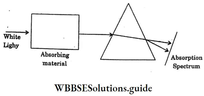 WBBSESolutions For Class 10 Physical Science And Environment Chapter 5 Light Absorption Spectrum
