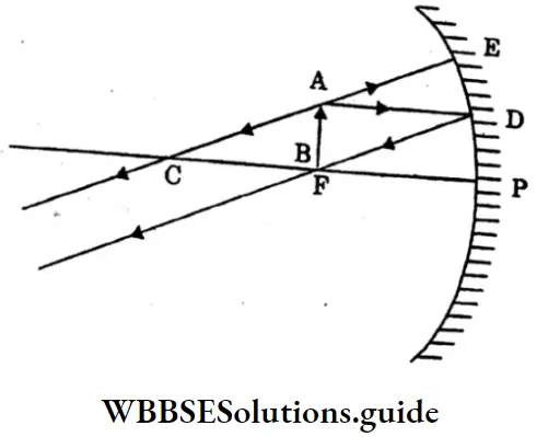 WBBSESolutions For Class 10 Physical Science And Environment Chapter 5 Light Concave Mirror Of Focus