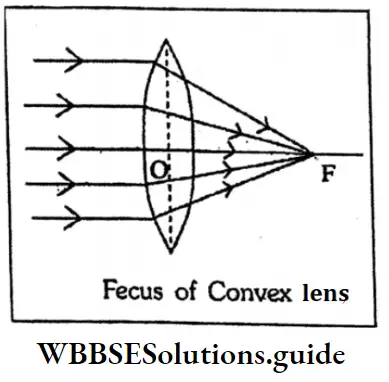WBBSESolutions For Class 10 Physical Science And Environment Chapter 5 Light Fecus Of Convex Lens