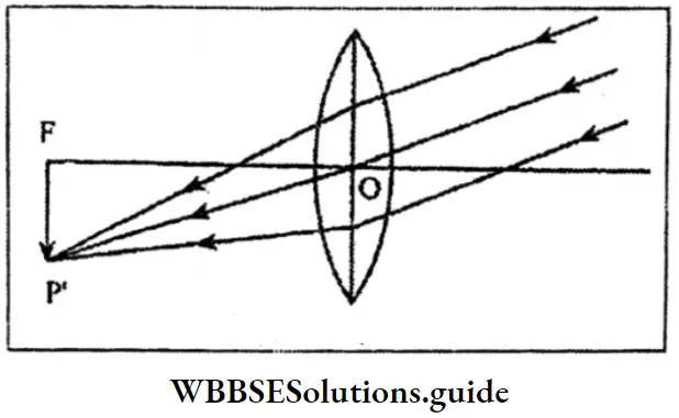 WBBSESolutions For Class 10 Physical Science And Environment Chapter 5 Light Infinity By A Convex Lens
