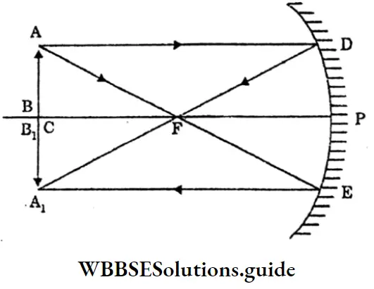 WBBSESolutions For Class 10 Physical Science And Environment Chapter 5 Light Mirror Lenght