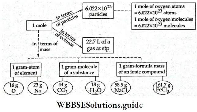 Basic Chemistry Class 11 Chapter 1 Some Basic Concepts of Chemistry The Mole