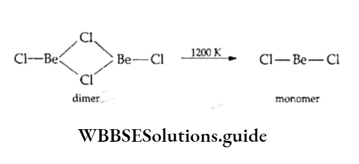 Basic Chemistry Class 11 Chapter 10 The S- Block Elements The Structure Of BeCl2 In The Vapour Phase