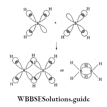 Basic Chemistry Class 11 Chapter 11 The p- Block Elements The Orbital Diagram Showing The Formation Of B2H6 From Two Bh3 Units