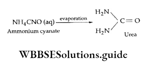 Basic Chemistry Class 11 Chapter 12 Organic Chemistry—Some Basic Principles And Techniques Notes Ammonium Cyanate