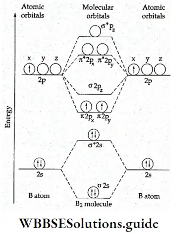 Basic Chemistry Class 11 Chapter 4 Bonding And Molecular Structure Energy Level Diagram For B2 Molecule