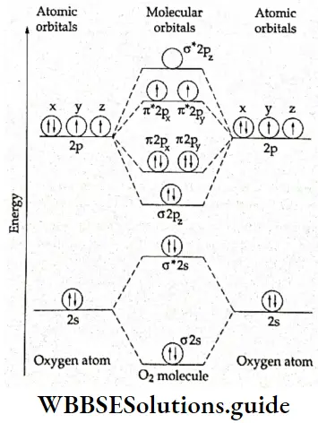 Basic Chemistry Class 11 Chapter 4 Bonding And Molecular Structure Energy Level Diagram For O2 Molecule