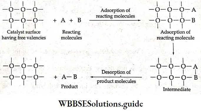 Basic Chemistry Class 12 Chapter 5 Surface Chemistry adsorption of reacting molecules formation of intermediate and desorption of products