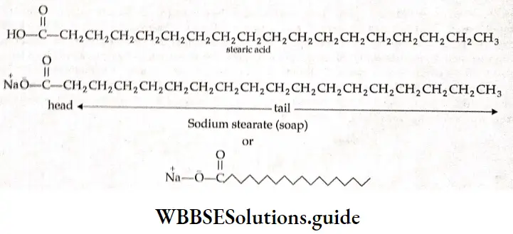 Basic Chemistry Class 12 Chapter 5 Surface Chemistry formulae of stearic acid and sodium stearate