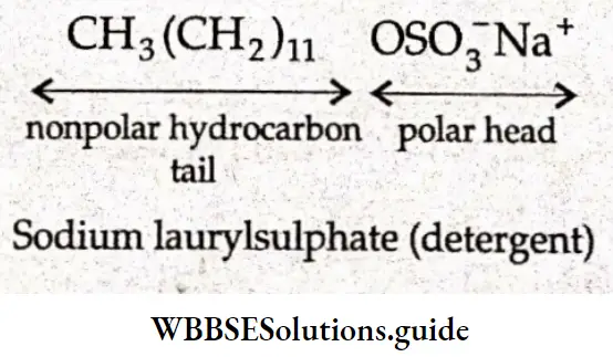Basic Chemistry Class 12 Chapter 5 Surface Chemistry arrangement of stearate inos on the surface of water at low concentration of soap and arrangement of stearate inos inside