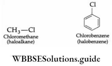 Basic chemistry Class 12 Chapter 10 Haloalkanes and Haloarenes Chloromethane