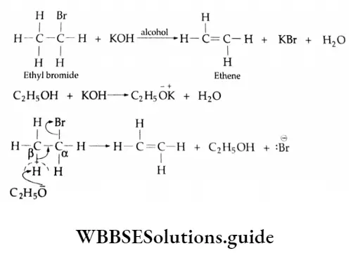 Basic chemistry Class 12 Chapter 10 Haloalkanes and Haloarenes Elimination reactions
