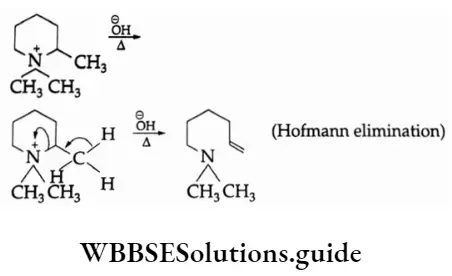 Basic chemistry Class 12 Chapter 10 Haloalkanes and Haloarenes Hofmann elimination