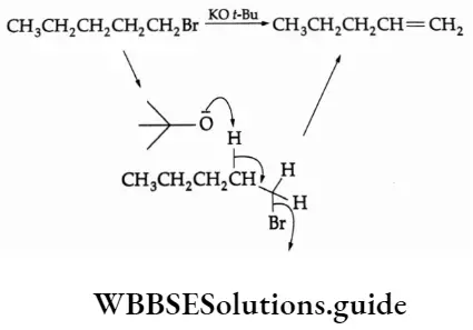 Basic chemistry Class 12 Chapter 10 Haloalkanes and Haloarenes Large nucleophile—elimination