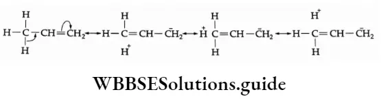 Basic chemistry Class 12 Chapter 10 Haloalkanes and Haloarenes basis of hyperconjugation.