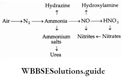 Basic chemistry Class 12 Chapter 7 The P Block Elements Hydrazine