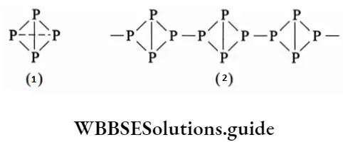 Basic chemistry Class 12 Chapter 7 The P Block Elements The structures of (1) white phosphorus and (2) red phosphorus