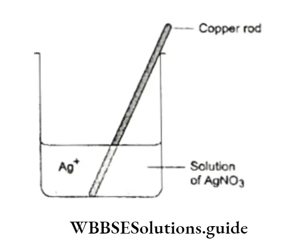 Class 11 Basic Chemistry Chapter 8 Redox Reactions Notes Copper Dissolves In a Solutions Of AgNO3