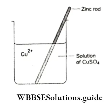 Class 11 Basic Chemistry Chapter 8 Redox Reactions Notes Zinc Dissolves In A Solutions Of CuSO4