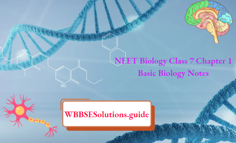 NEET Biology Class 7 Chapter 1 Basic Biology Notes - WBBSE Solutions