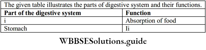 NEET Biology Class 7 Chapter 6 Digestion MCQs Question 29