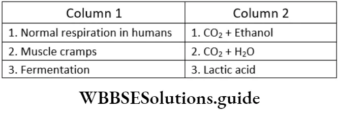 NEET Biology Class 7 Chapter 7 Respiration And Excretion MCQs Question 9...