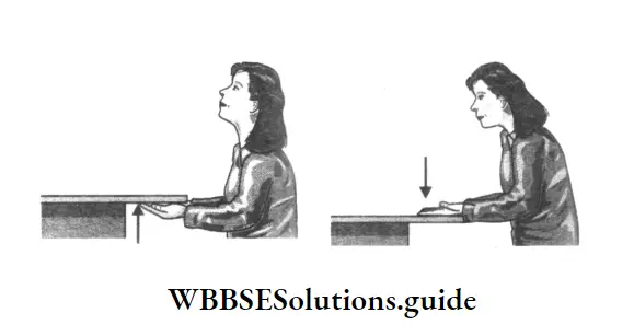 Add New Post ‹ WBBSE Solutions — WordPress