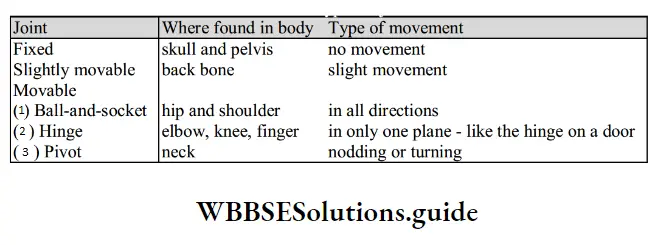 NEET Biology Class 7 Chapter 8 Movement In Animals And PLants Types Of Joints